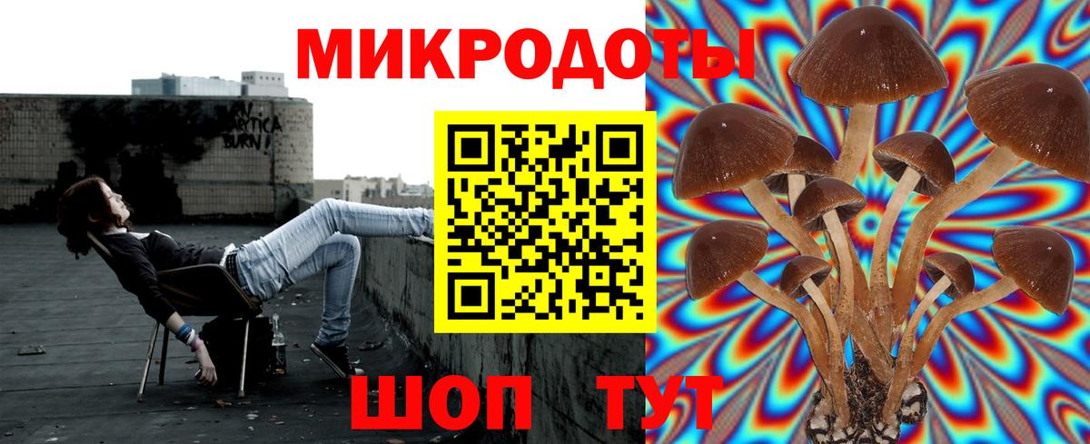 Галлюциногенные грибы Psilocybe  Вход с VPN  Псилоцибиновые грибы MAGIC MUSHROOMS  Брянск 